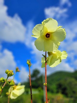 이형록님의 자유주제 · 자유게시판 작성글 사진