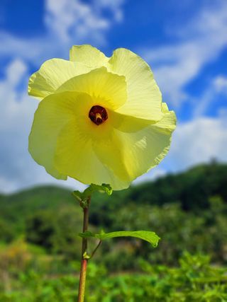 이형록님의 자유주제 · 자유게시판 작성글 사진