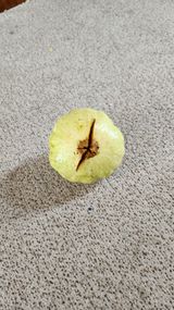 팜모닝 벼·자유게시판 게시글 이미지