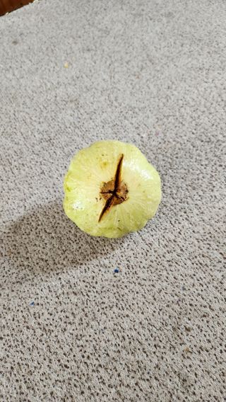 두비님의 벼 · 자유게시판 작성글 사진