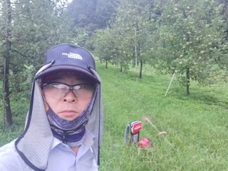 전락구님의 사과 · 영농일지 작성글 사진