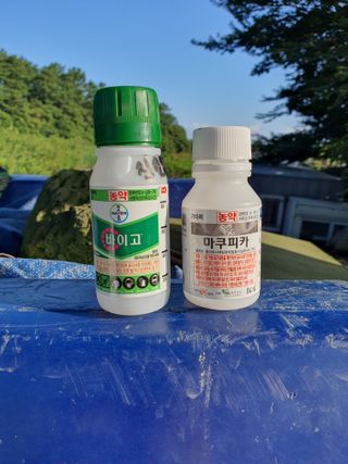 고정민님의 귤·비료•농약 작성글 사진