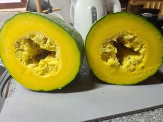 홍천산채농원 조원영님의 자유주제 · 자유게시판 작성글 사진