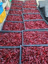 팜모닝 고추·저장•가공 게시글 이미지