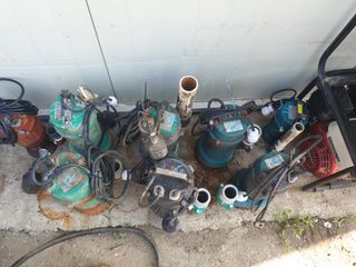 수리남님의 작성글 사진