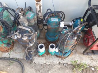 수리남님의 작성글 사진