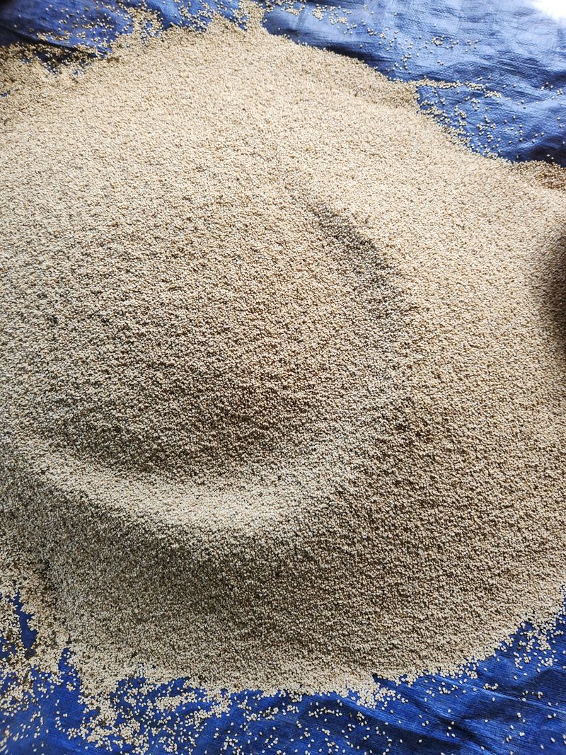 장터 상품 [햇참깨1kg] 썸네일