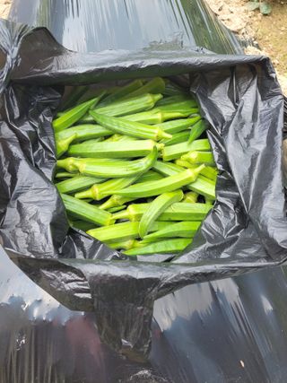 원빈님의 자유주제 · 자유게시판 작성글 사진