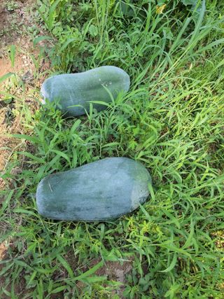 원빈님의 자유주제 · 자유게시판 작성글 사진