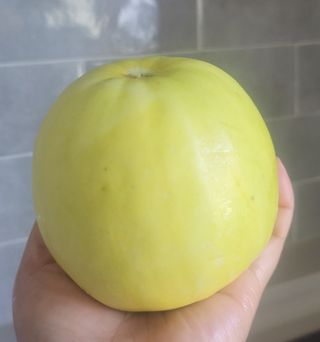 원빈님의 자유주제 · 자유게시판 작성글 사진