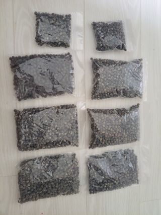 원빈님의 자유주제 · 자유게시판 작성글 사진