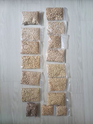 원빈님의 자유주제 · 자유게시판 작성글 사진