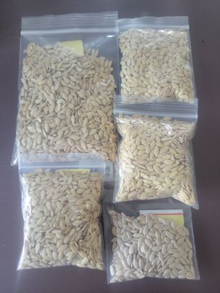 원빈님의 자유주제 · 자유게시판 작성글 사진