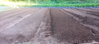 강동성님의 기타작물 · 자유게시판 작성글 사진