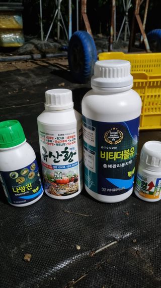 ๊ถ์ค์ฒ๋์ ๊ณ ์ถ ยท ์๋์ผ์ง ์์ฑ๊ธ ์ฌ์ง