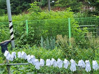 together님의 작목반,동호회 등 나의 모임은? · 참여글 작성글 사진