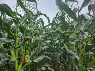 together님의 작목반,동호회 등 나의 모임은? · 참여글 작성글 사진