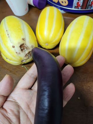 together님의 작목반,동호회 등 나의 모임은? · 참여글 작성글 사진