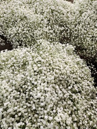 이성자님의 기타작물 · 자유게시판 작성글 사진