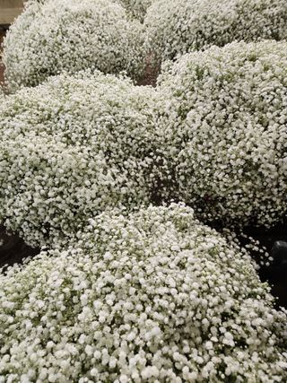 이성자님의 기타작물 · 자유게시판 작성글 사진