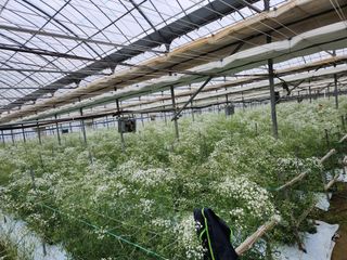 이성자님의 기타작물 · 자유게시판 작성글 사진