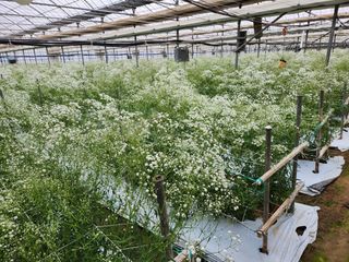 이성자님의 기타작물 · 자유게시판 작성글 사진