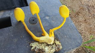 늘그자리에서님의 자유주제 · 자유게시판 작성글 사진