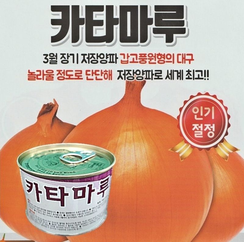 장터 상품 [카타마루 저상성 양파 24년포장] 썸네일