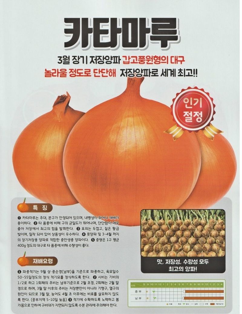 대산농사대장님의 장터 판매 상품 [카타마루 저상성 양파 24년포장] 첨부 사진