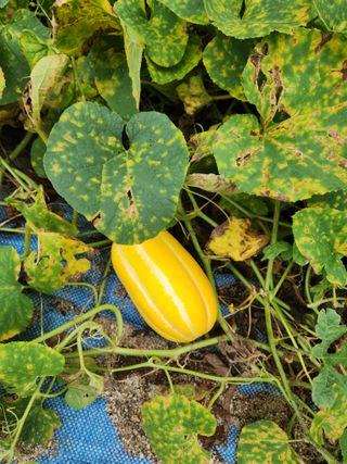 그린뉴딜님의 자유주제 · 자유게시판 작성글 사진