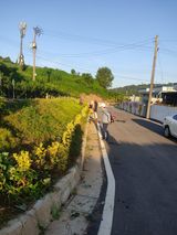 팜모닝 우리동네·동네정보 게시글 이미지