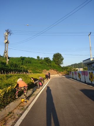 김광선님의 우리동네 · 동네정보 작성글 사진