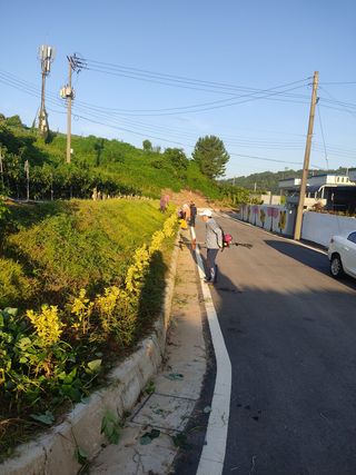 김광선님의 사과 · 영농일지 작성글 사진