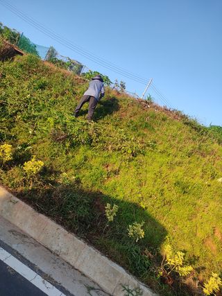 김광선님의 사과 · 영농일지 작성글 사진