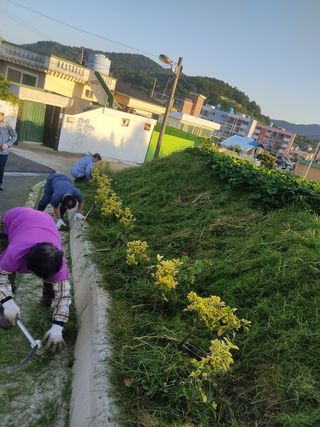 김광선님의 사과 · 영농일지 작성글 사진