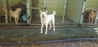 조현진(신작로)님의 자유주제 · 자유게시판 작성글 사진