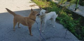 조현진(신작로)님의 자유주제 · 자유게시판 작성글 사진