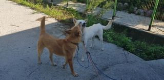 조현진(신작로)님의 자유주제 · 자유게시판 작성글 사진