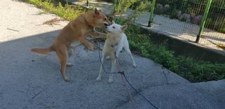 조현진(신작로)님의 자유주제 · 자유게시판 작성글 사진