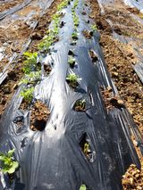 팜모닝 자유주제·자유게시판 게시글 이미지