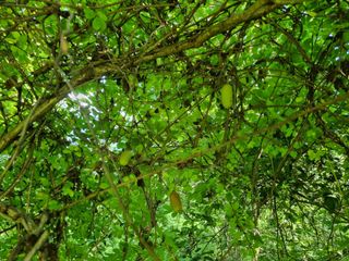 참깨6253님의 들깨 · 자유게시판 작성글 사진