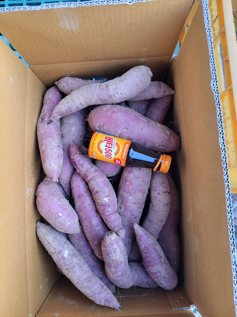 장터 상품 [2023년 꿀고구마 10Kg ] 썸네일