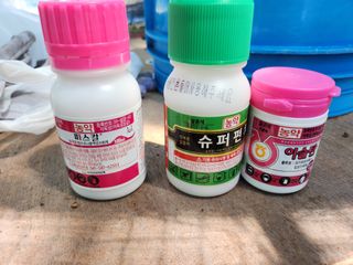 권오율님의 포도 · 영농일지 작성글 사진