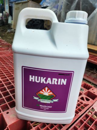 권오율님의 포도 · 영농일지 작성글 사진