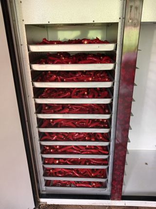 알 수 없음님의 우리동네 · 동네수다 작성글 사진