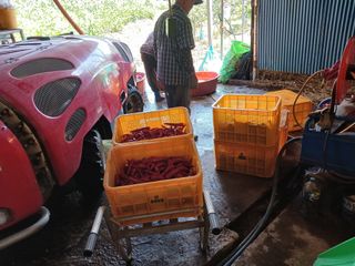 알 수 없음님의 우리동네 · 동네수다 작성글 사진