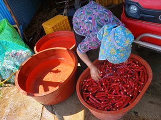 알 수 없음님의 우리동네 · 동네수다 작성글 사진