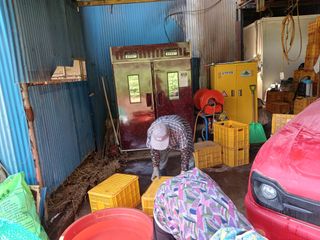 알 수 없음님의 우리동네 · 동네수다 작성글 사진