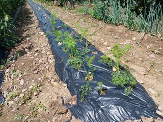 알 수 없음님의 우리동네 · 동네수다 작성글 사진