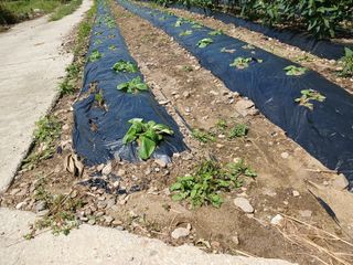 알 수 없음님의 우리동네 · 동네수다 작성글 사진